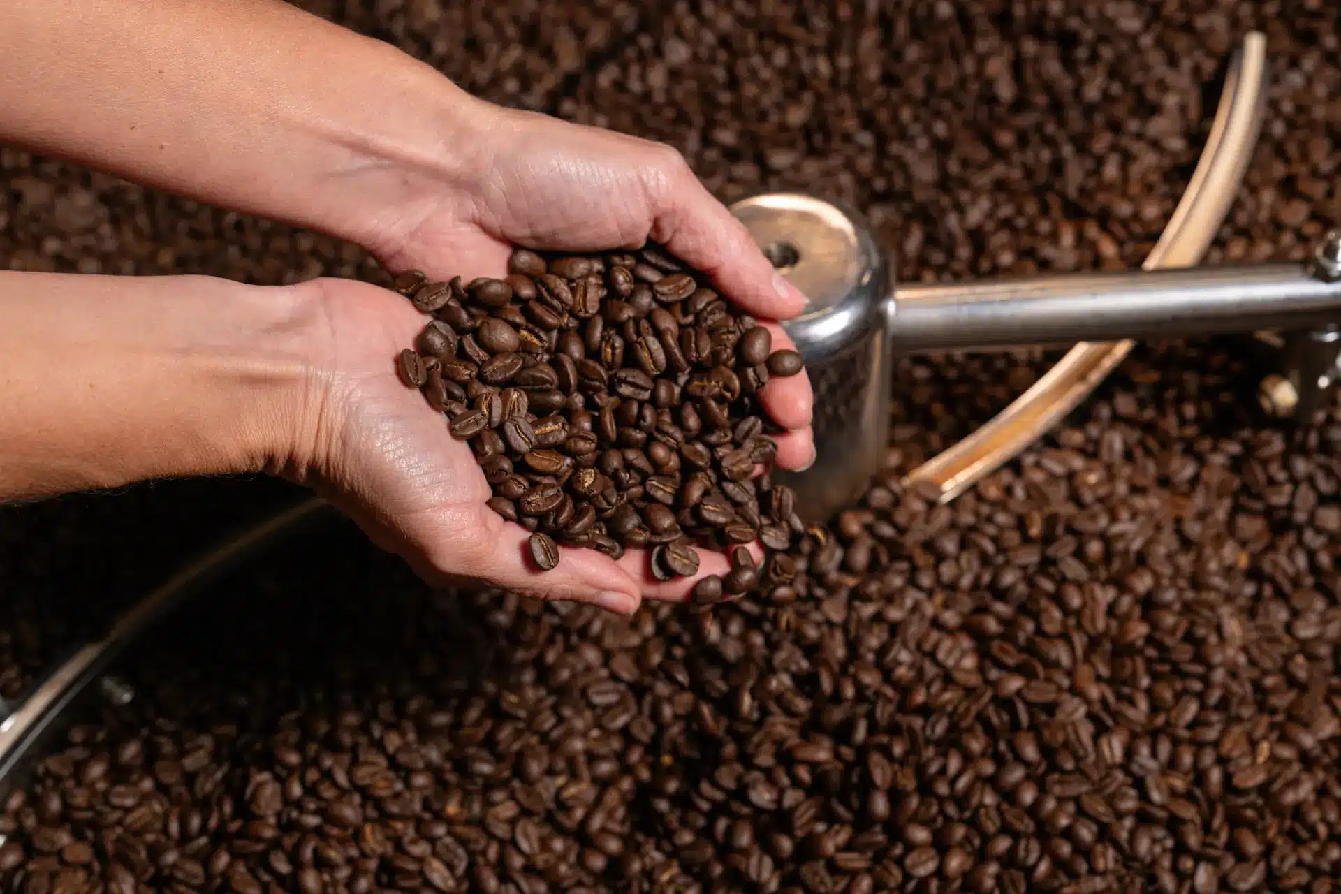 Reportage corporate entreprise Sarthe